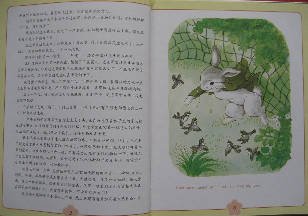 兔子彼得的故事 (07),绘本,绘本故事,绘本阅读,故事书,童书,图画书,课外阅读